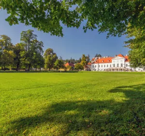 ib campus setting; Miller-Aichholz Palace; study academy vienna